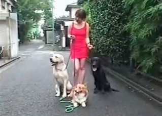 Big-dicked hound fucking
