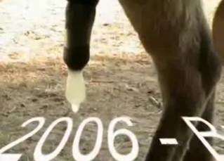 Extremely hot fucking with animals
